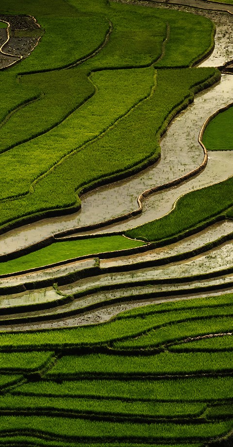 智慧農(nóng)業(yè)