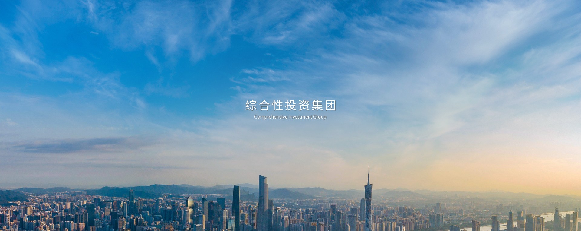 廣東帝融集團(tuán)有限公司